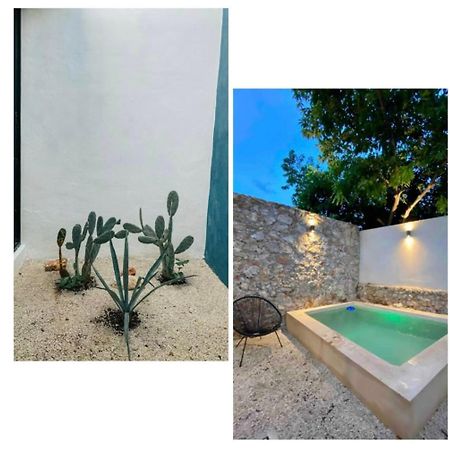 메리다 Modern Casa With Pool 7 Mins From Centro 5Min La Plancha Park 빌라 외부 사진