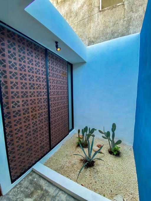 메리다 Modern Casa With Pool 7 Mins From Centro 5Min La Plancha Park 빌라 외부 사진